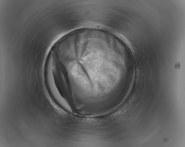 X0000094421128200712061045