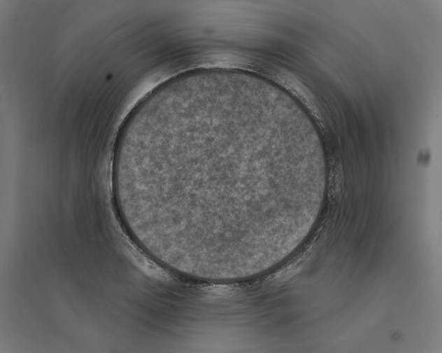 X0000094421130200712061045