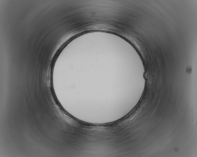 X0000094421131200712061045