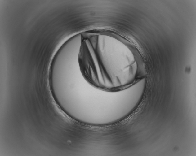 X0000094421132200712061045