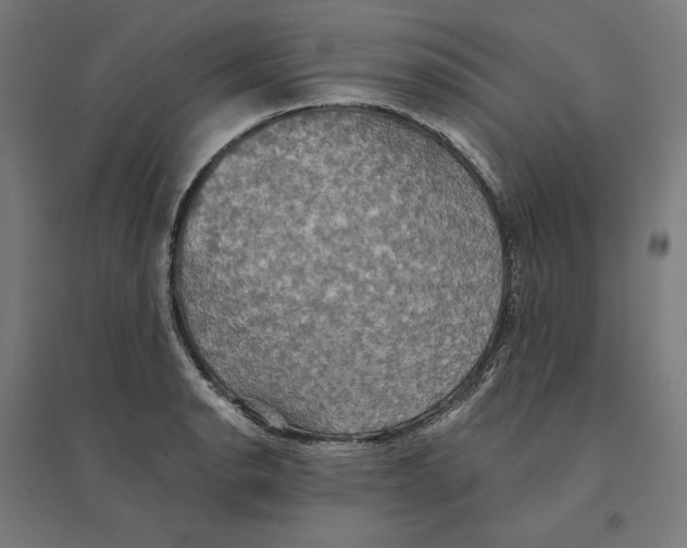 X0000094421134200712061045