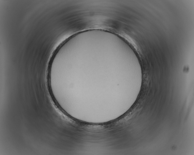 X0000094421135200712061045