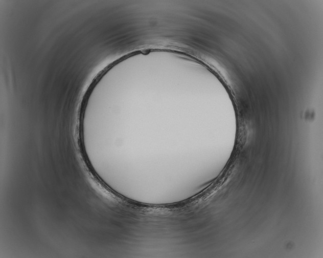 X0000094421136200712061045