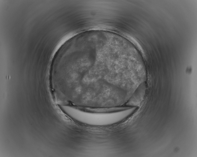 X0000094421138200712061045