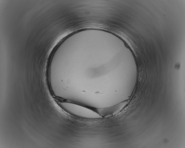 X0000094421139200712061045