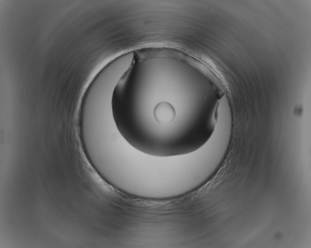 X0000094421140200712061045