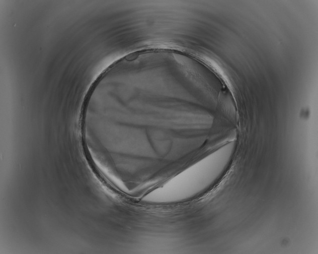 X0000094421141200712061045