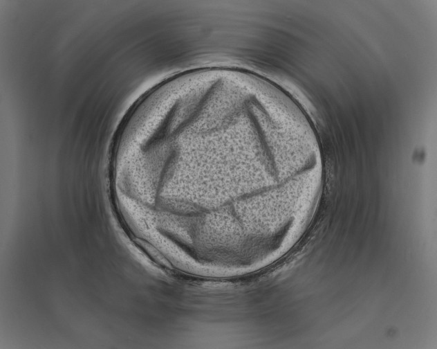 X0000094421142200712061045