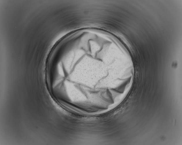 X0000094421143200712061045