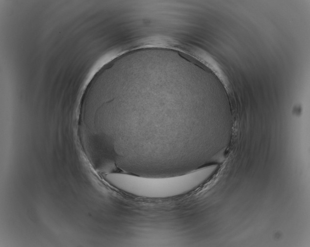 X0000094421146200712061045