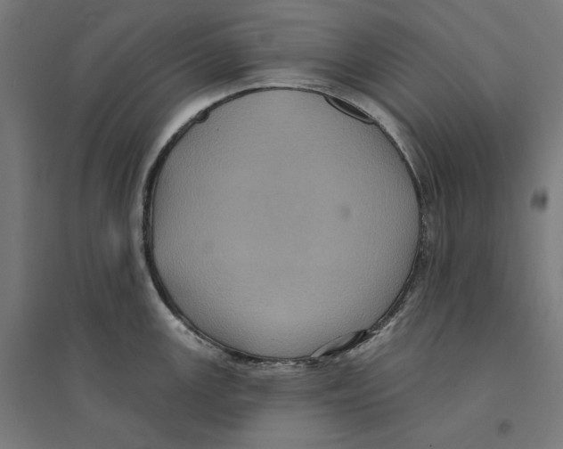 X0000094421147200712061045