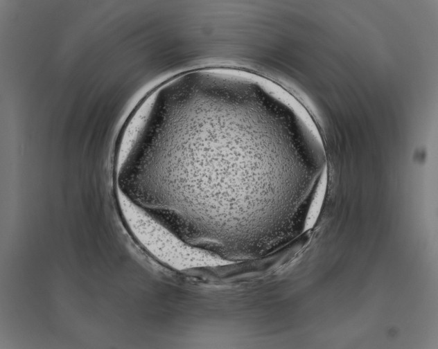 X0000094421148200712061045