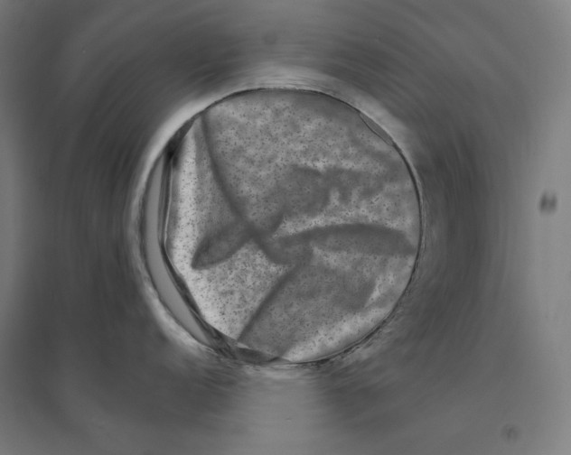 X0000094421152200712061045