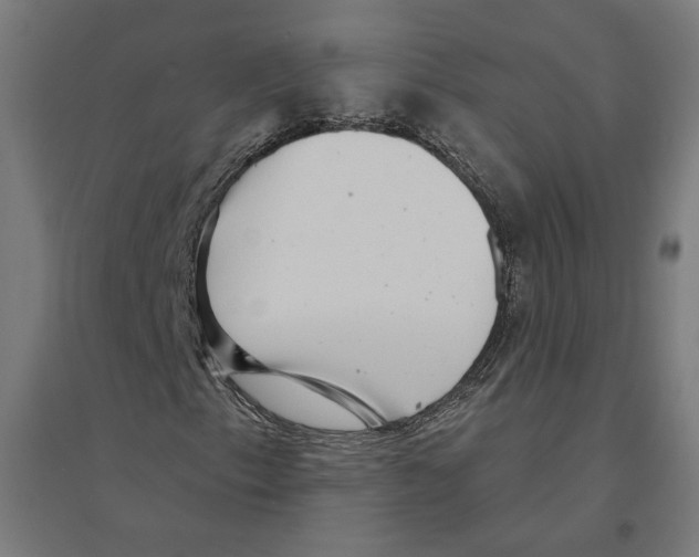 X0000094421153200712061044