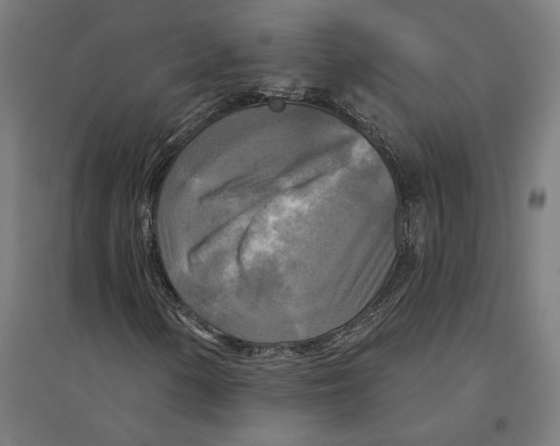 X0000094421154200712061044