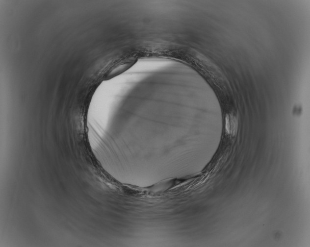 X0000094421155200712061044