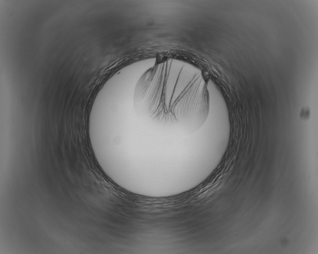 X0000094421156200712061044