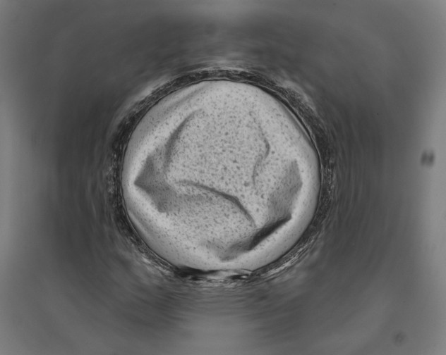 X0000094421159200712061044