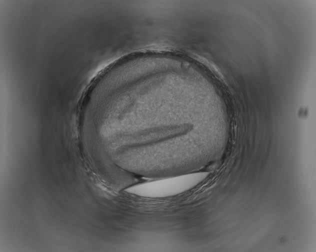 X0000094421160200712061044