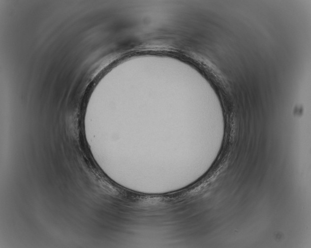 X0000094421162200712061044