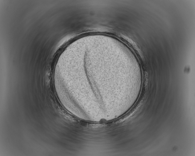 X0000094421163200712061044