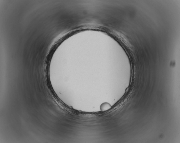 X0000094421164200712061044