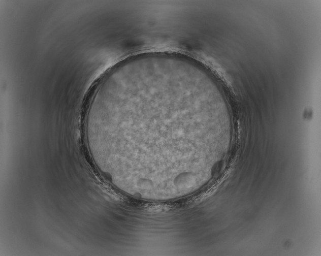 X0000094421165200712061044