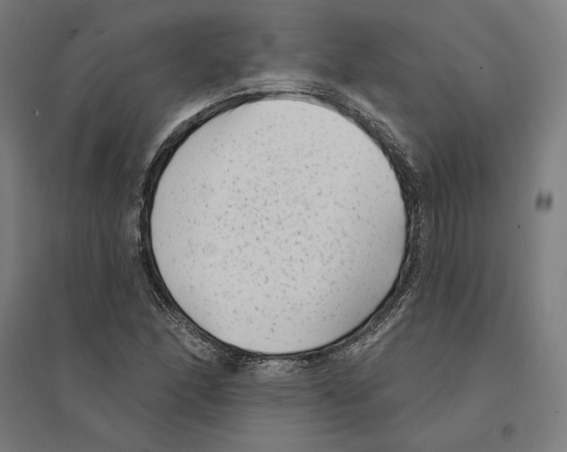 X0000094421166200712061044