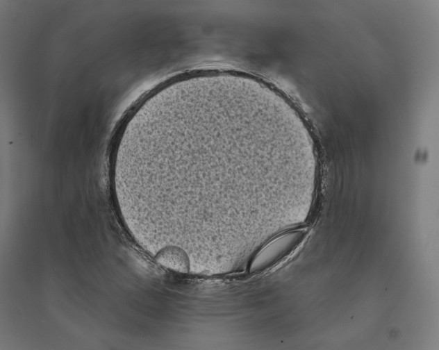 X0000094421167200712061044