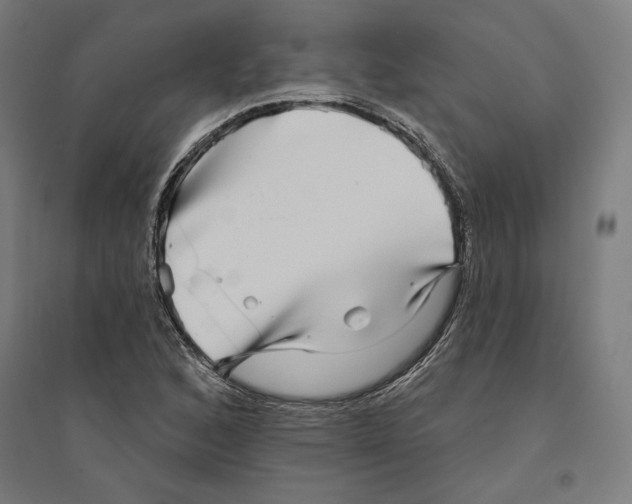 X0000094421168200712061044