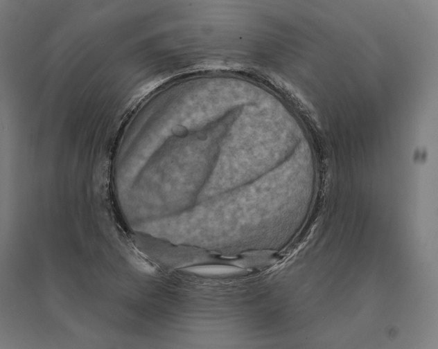 X0000094421169200712061044