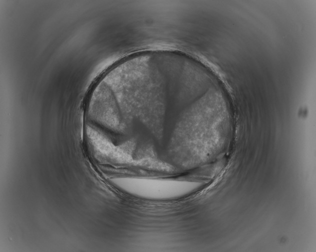 X0000094421171200712061044