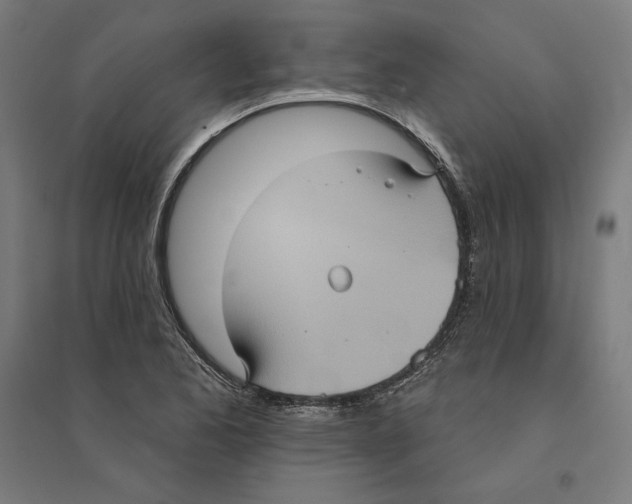 X0000094421173200712061044