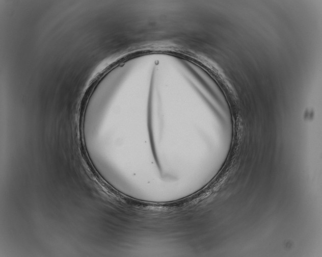 X0000094421176200712061044