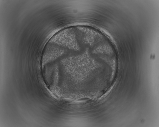 X0000094421177200712061044