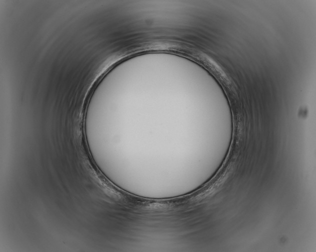 X0000094421178200712061044