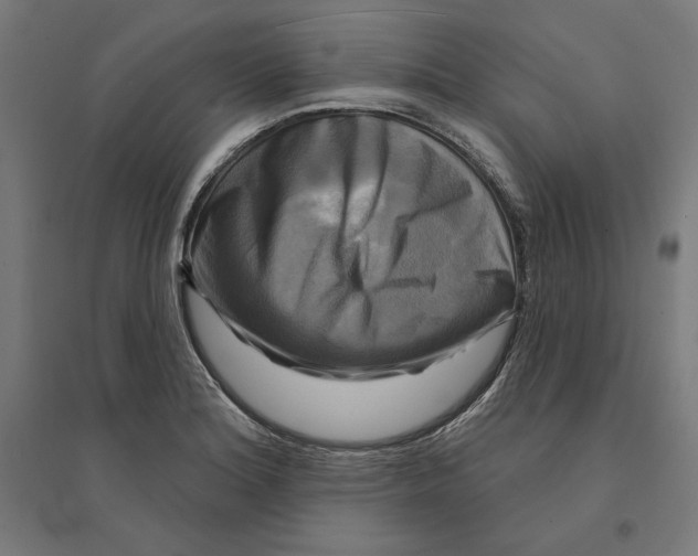 X0000094421180200712061044