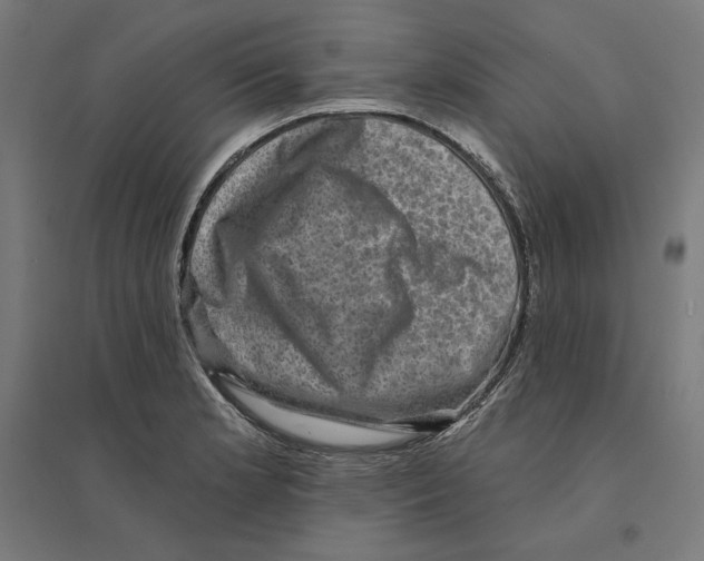 X0000094421181200712061044