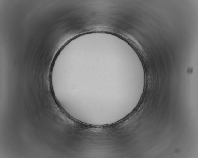 X0000094421182200712061044