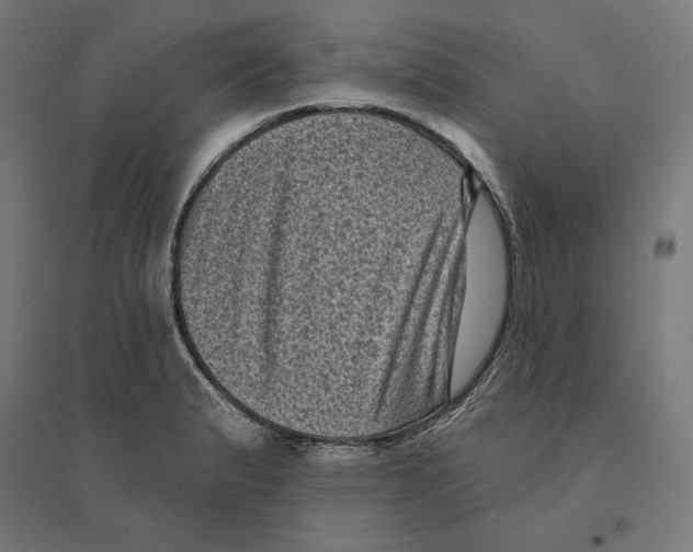 X0000094421183200712061044