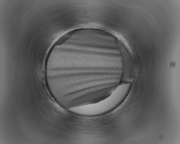 X0000094421184200712061044