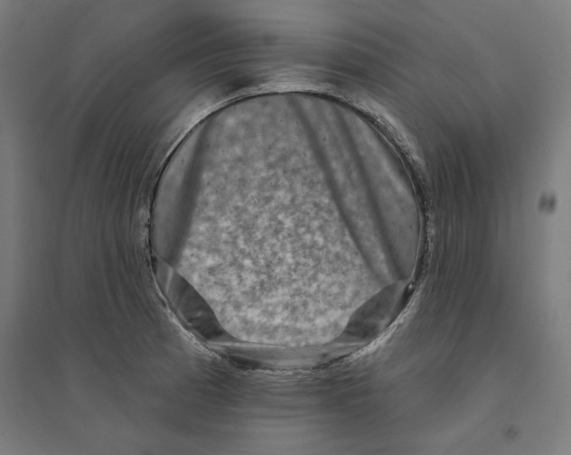 X0000094421185200712061044