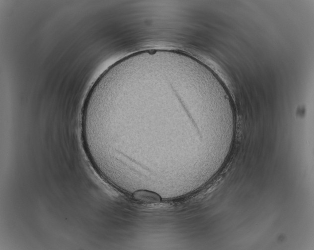 X0000094421187200712061044