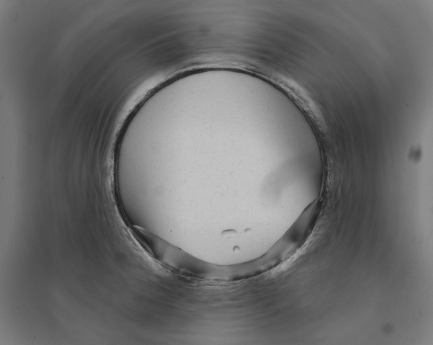 X0000094421188200712061044