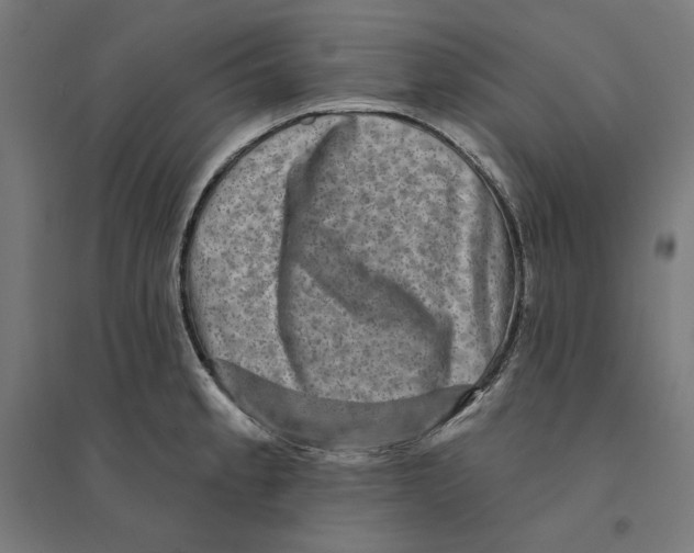 X0000094421189200712061044