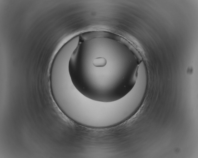 X0000094421192200712061044