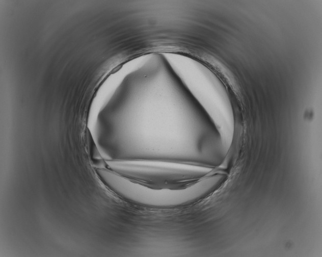 X0000094421193200712061044