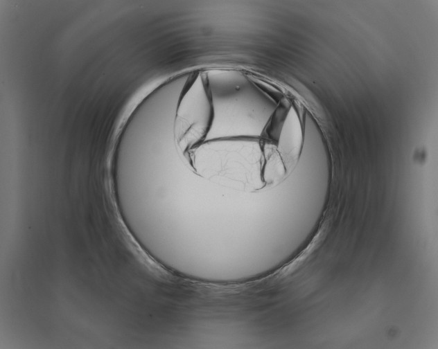 X0000094421196200712061044