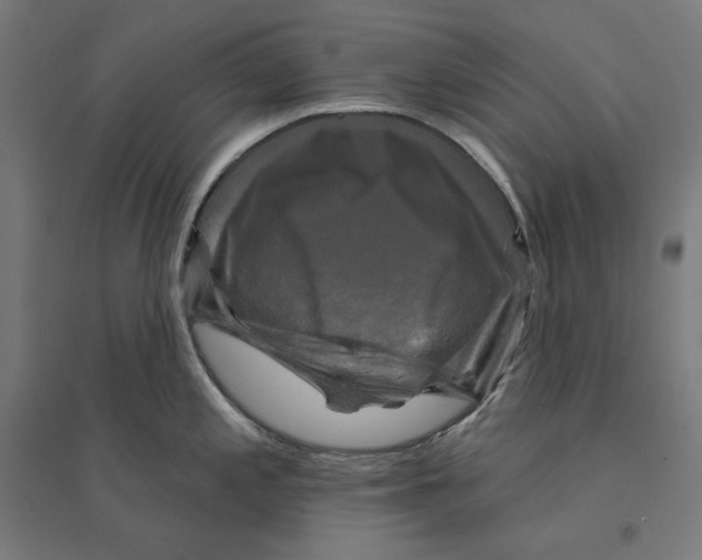 X0000094421197200712061044