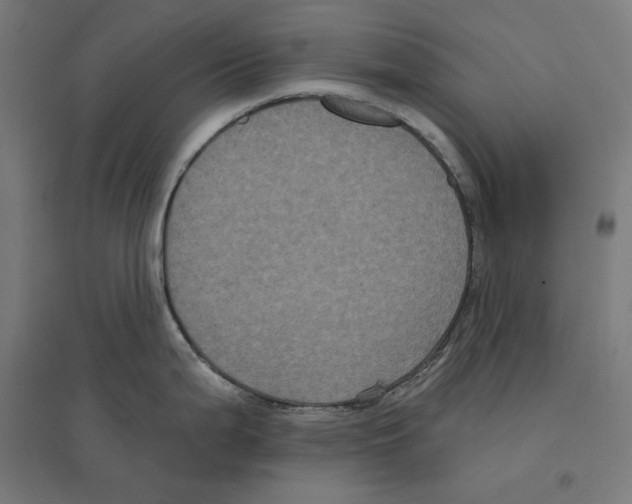 X0000094421199200712061044